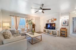 Perch - Brygger Cottage: Magnolia rambler & pet-friendly - Image 4