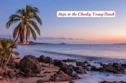 Maui Vista 322: Ocean Palms Oasis | Remodeled, Prime Location - Image 5