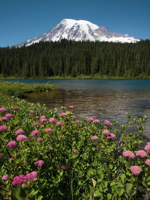 Islands & Mt. Rainier Gateway