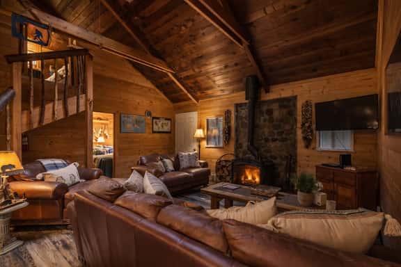 Perch - Chester Cbin: Cozy rustic cabin with AC! Pet Friendly - Image 1