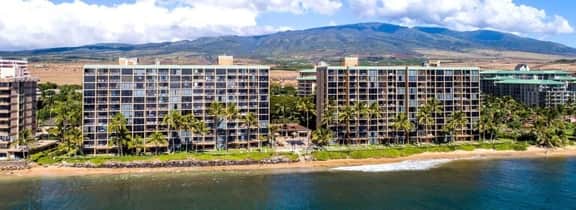 Perch - Oceanfront Tranquility: 1BR Condo w/ Views - Image 2