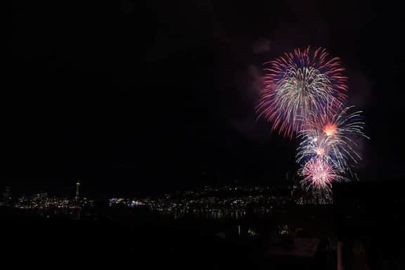 Perch - View on Franklin: Cozy 3 BR | Lake & Needle View | Fireworks - Image 5