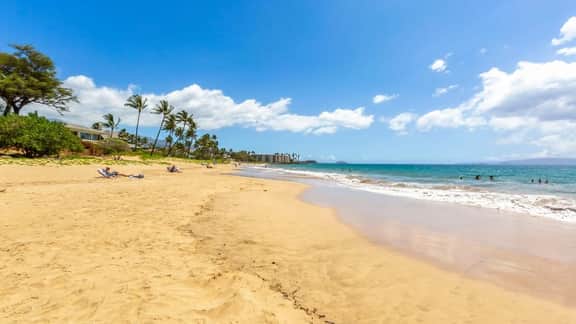 Perch - Maui Vista 307: Ocean Palms Oasis | Remodeled, Prime Location - Image 4